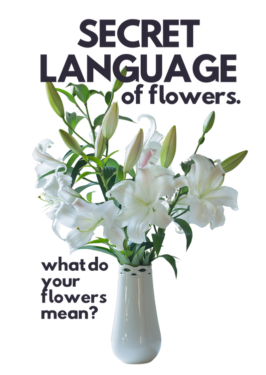The Secret Language of Flowers: What Do Your Flowers Mean?