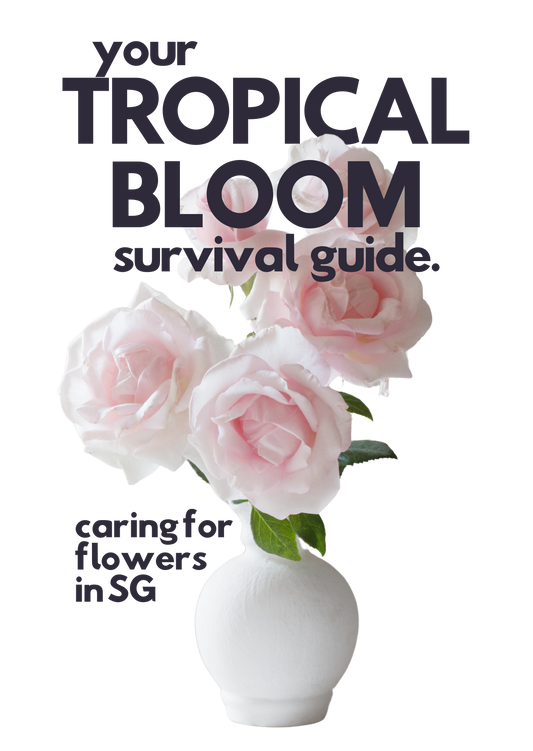 Your Tropical Bloom Survival Guide: Caring for Flowers in SG