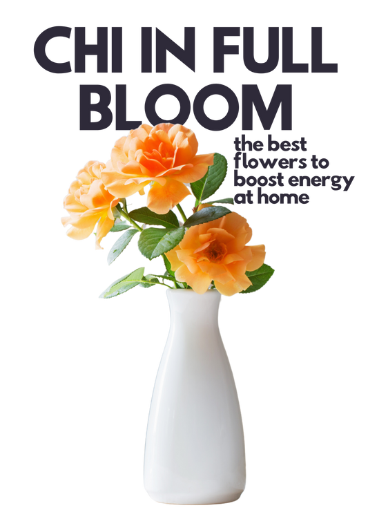 Chi in Full Bloom: The Best Flowers to Boost Energy at Home
