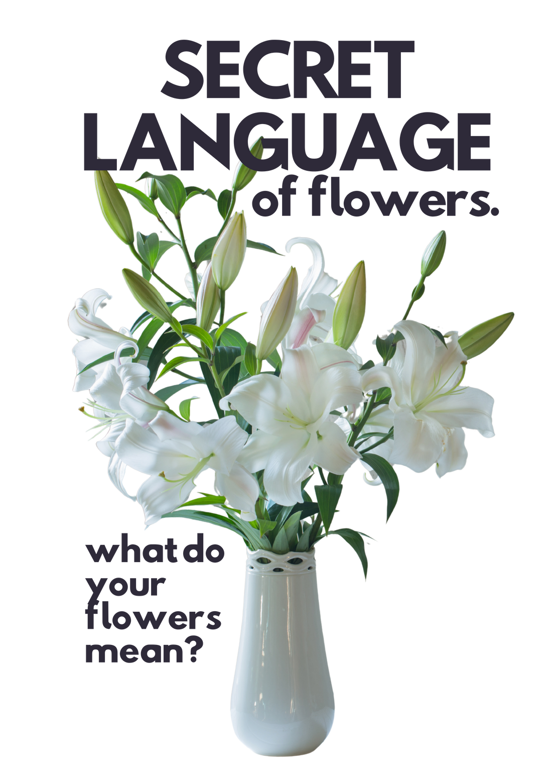 The Secret Language of Flowers: What Do Your Flowers Mean?