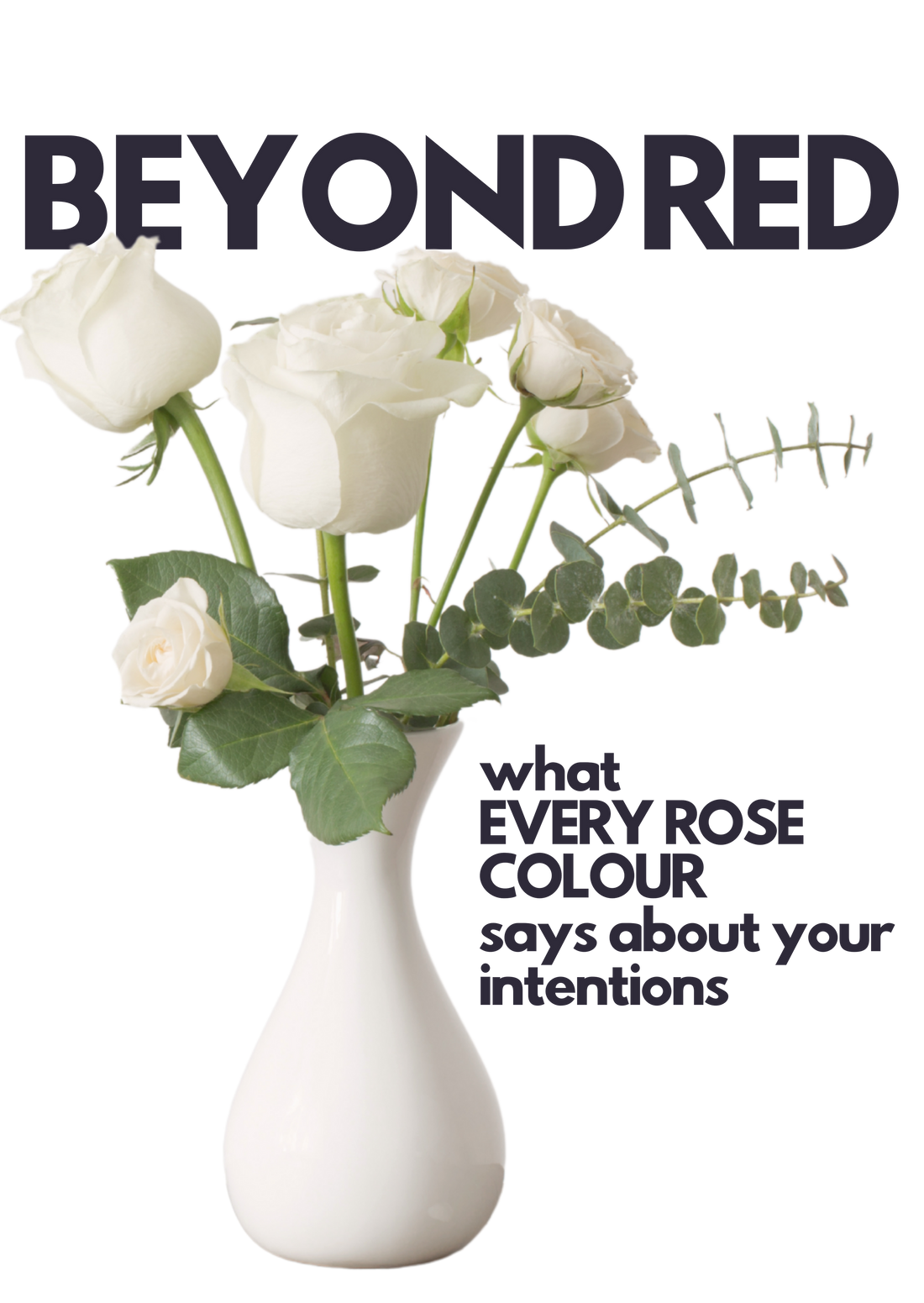 Beyond Red: What Every Rose Colour Says About Your Intentions