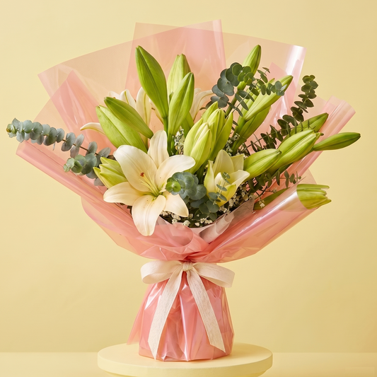 LILY LALALAND
