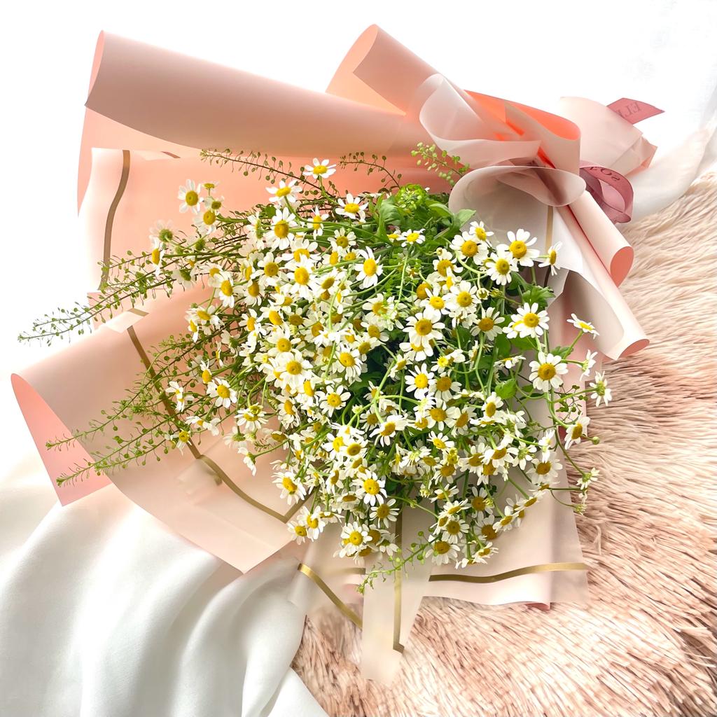 Cheap Small Petaled Daises, Tanacetum, Spray Daisies bouquet in Singapore Under $70 Free Delivery