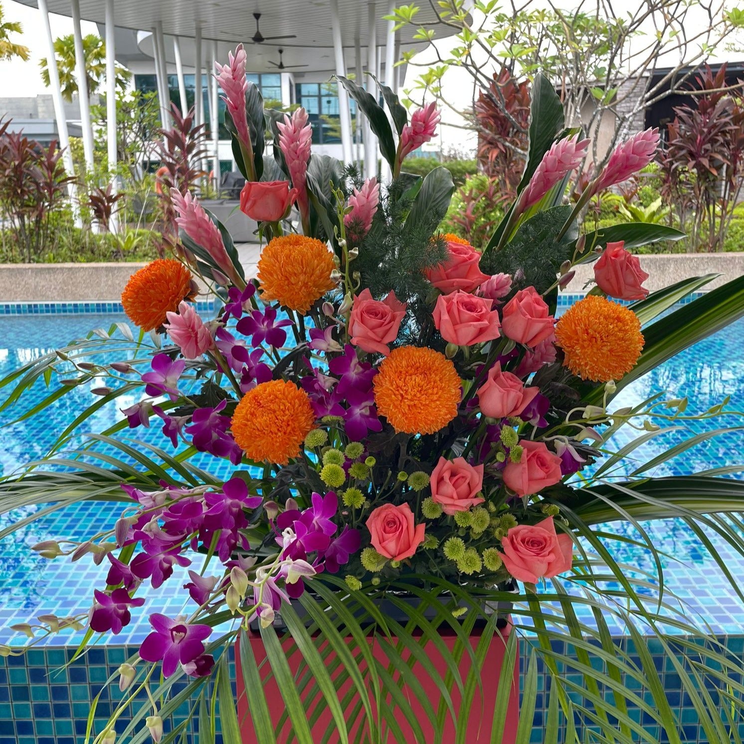 Fresh Cheap and Good Prosperous Orchids, Mums, Roses and Ginger flower grand opening floral stand in Singapore Under $200 free Delivery