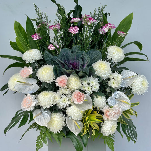 Fresh anthurium flower, cabbage, carnations, spray mums condolence floral stand under $200