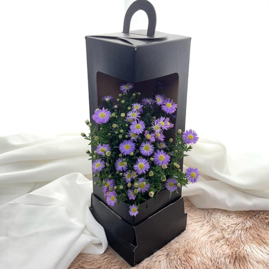 WILD FLOWERS